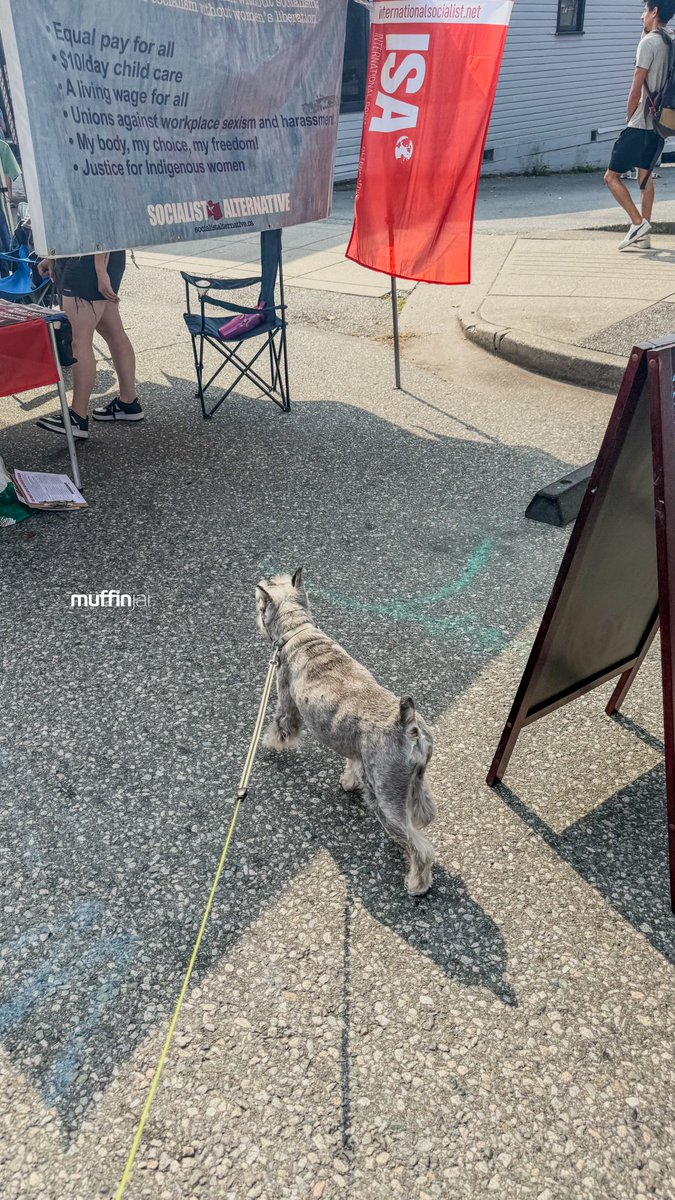 muffinjai's tweet photo. Navigating the glorious chaos of #CarFreeDay on #CommercialDrive in #Vancouver today! @carfreeyvr ๐ Itโs so cool how they turn these streets into a giant playground for people (and very important schnauzers). ๐
#CarFreeYVR #CommercialDrive #VancouverEvents #CarFreeVancouver https://t.co/vHRuDxWUdW