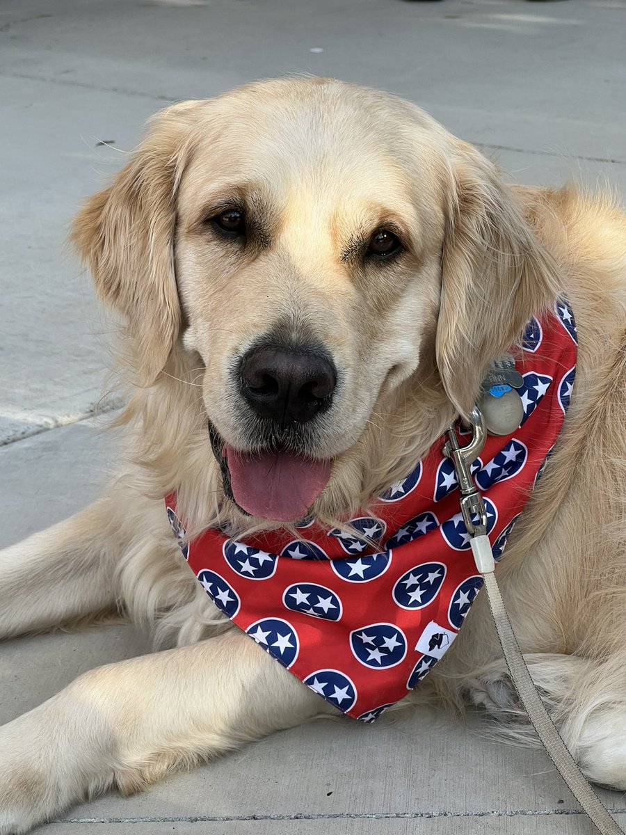 Wishing everyone a great weekend! 🐾💙Finn #WeekendSmiles #GRC