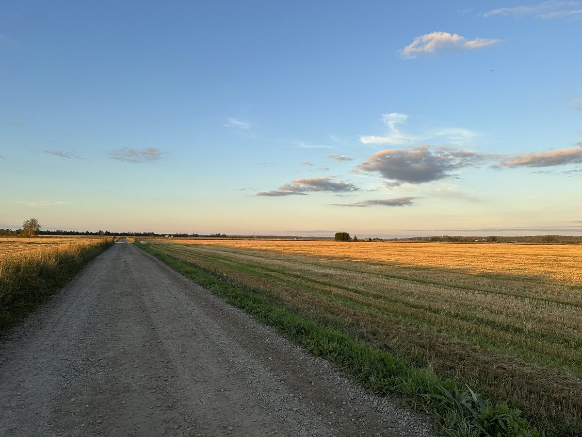 alahahan's tweet photo. Alkuviikosti pyörälenkillä Alajoen maisemissa. Ilmajoen ja Seinäjoen välinen viljelylakeus Kyrönjoen molemmin puolin on keskeinen osa eteläpohjalaista kulttuuriperinnettä ja valtakunnallisestikin merkittävä maisema-alue.
#alajoki #kyrönjoki #ilmajoki #seinäjoki https://t.co/oOnn6gyCfR