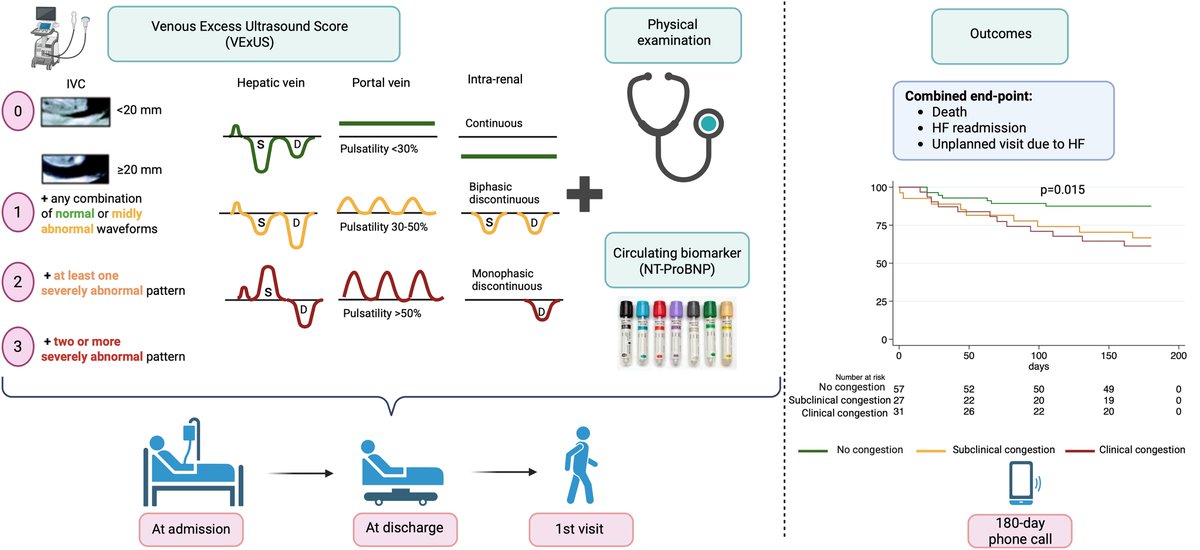 Prevalence and prognostic impact of subclinical venous congestion in patients hospitalized for acute heart failure.
#POCUS #VExUS #FOAMed #Nephpearls 
🔗Lozano-Jiménez S, et al. Eur Heart J Acute  Cardiovasc Care. 2025. PMID: 40699351.