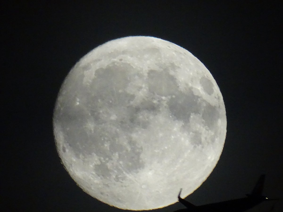 clive branch tweet media