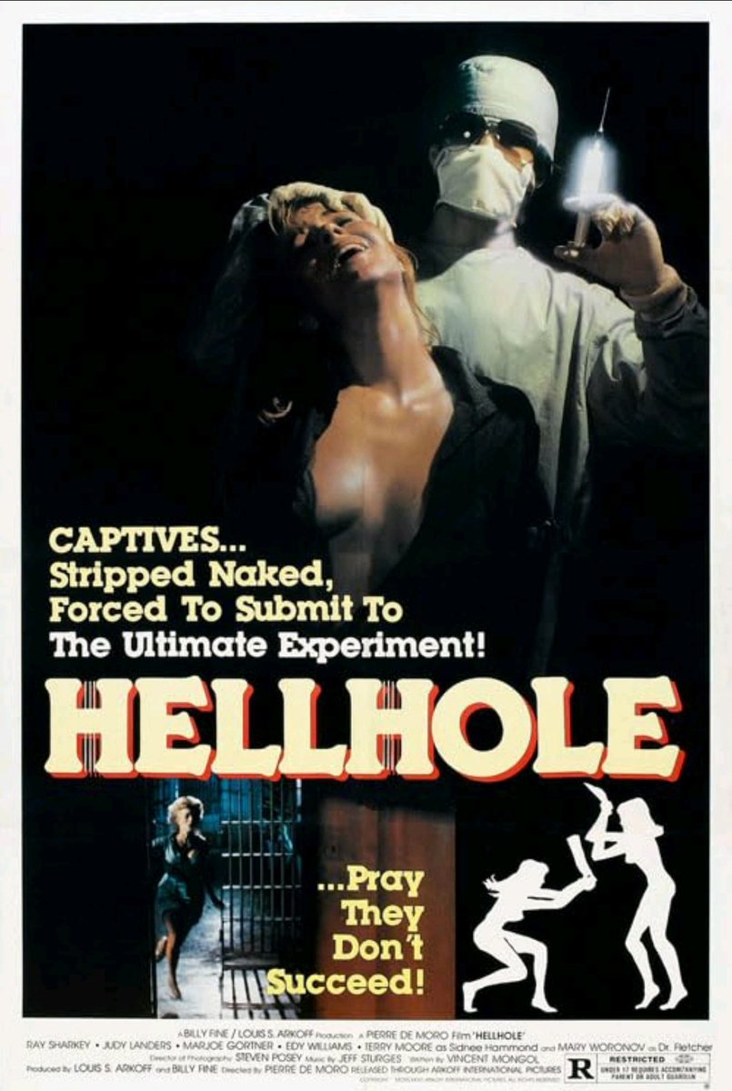 HELLHOLE (1985) 
Starring Judy Landers 
#NowWatching
