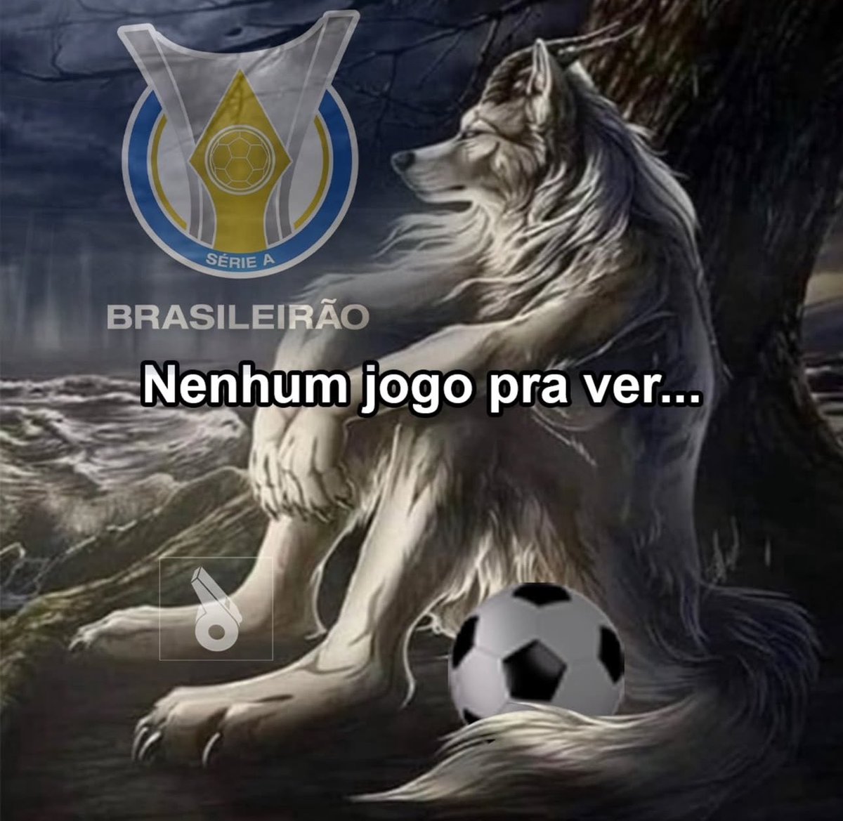 out of context brasileirão (@oocbrsao) on Twitter photo 