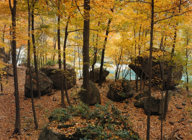 From the CAM Collection Archive
🍁 Niagara Glen Boulders, 1985
John Pfahl (American, 1939–2020)

As the leaves turn and fall sets in across Western New York, Niagara Glen Boulders by John Pfahl captures the stillness and quiet geometry of the natural world in seasonal transition.
