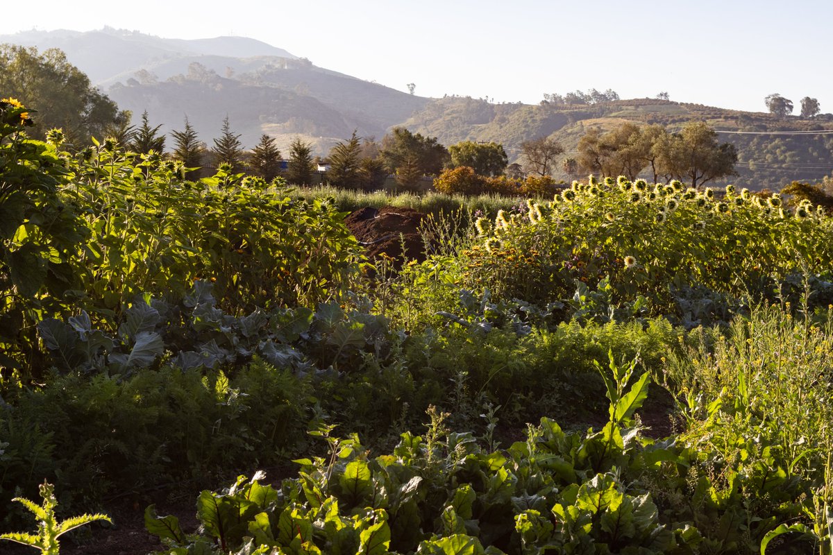 just keep farming, just keep farming
   ...🌱🌱🌱 !