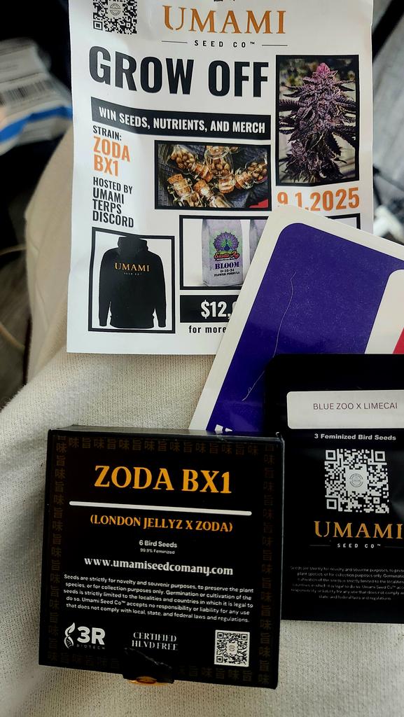 Its mf on!!! Letsss gooooo #Mmemberville #weed #growyourown #420fam #cannaculture #420community #BUDFLOOD #420life #pot_break