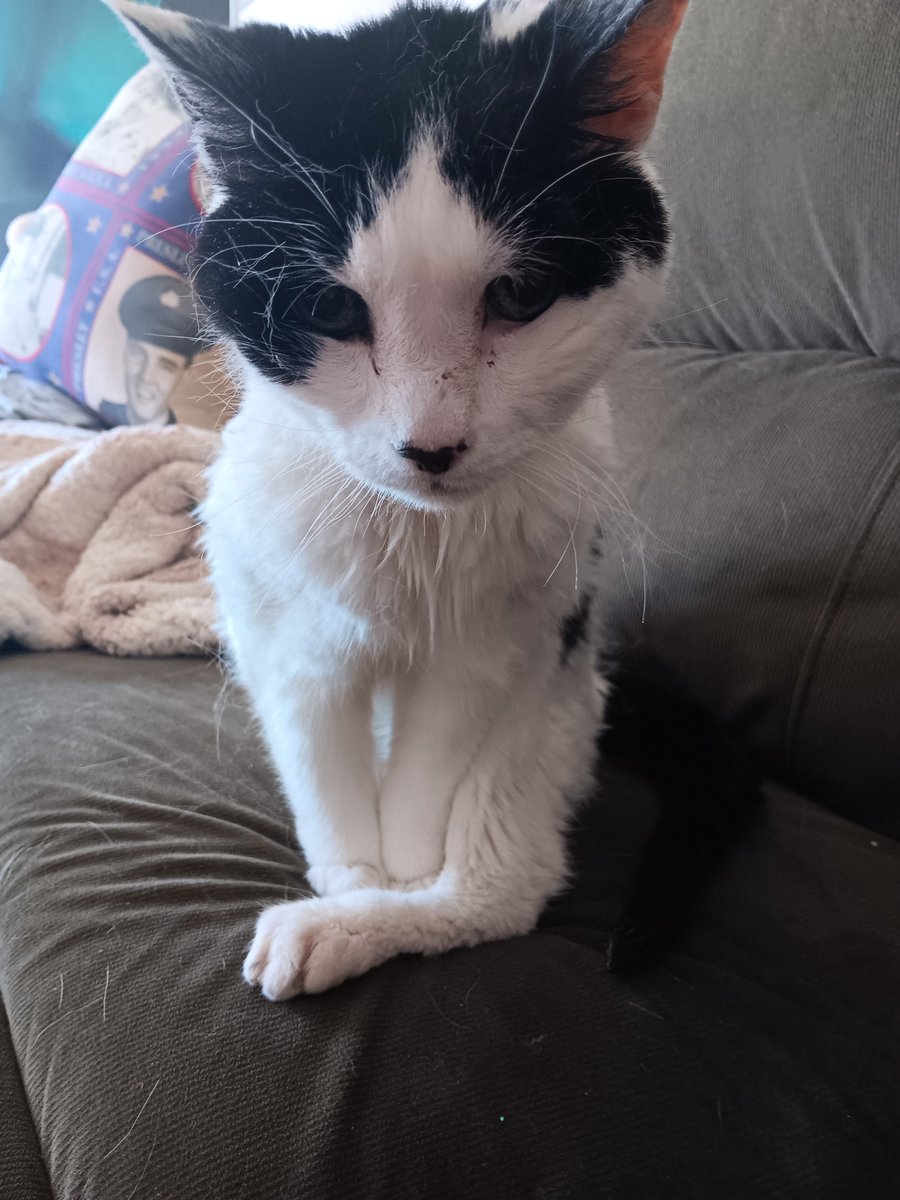 Robin Brunet tweet media