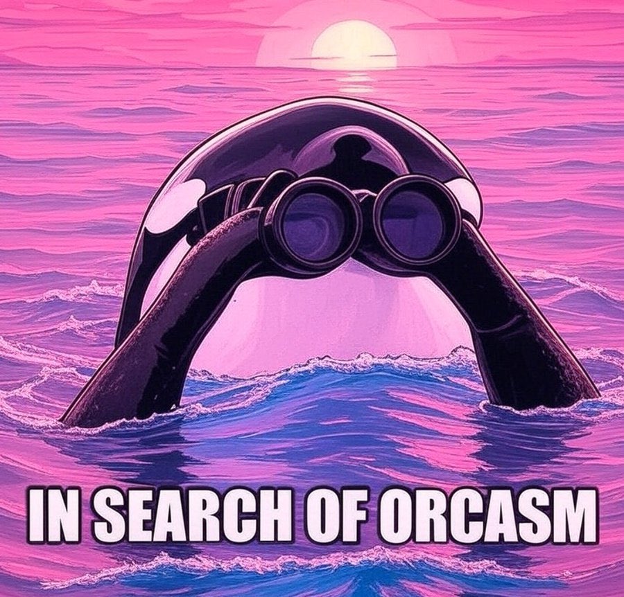 In searching of $Orcasm