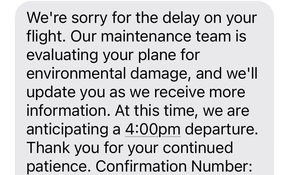 Lorrell Bellotti tweet media