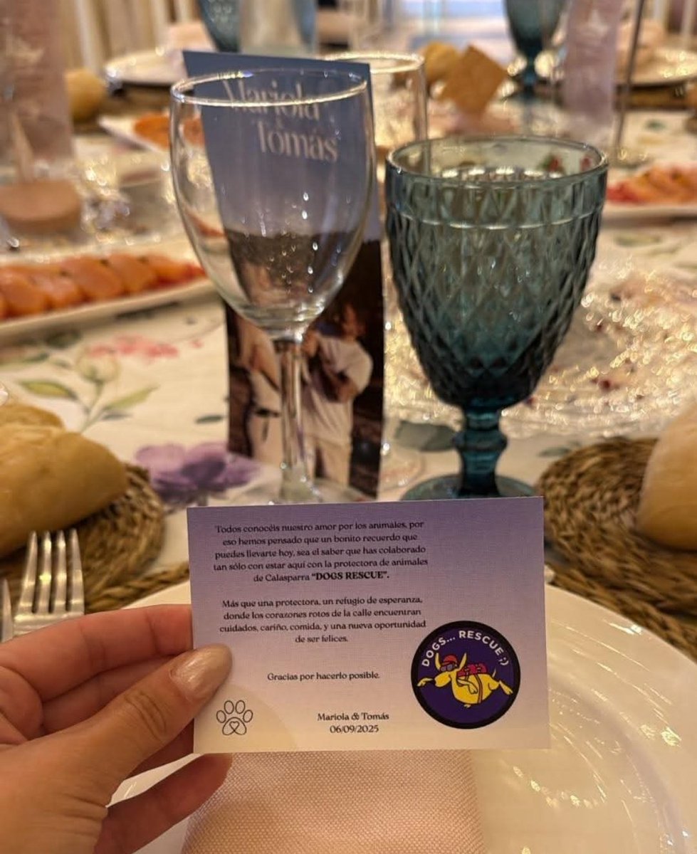 DOGS RESCUE tweet media