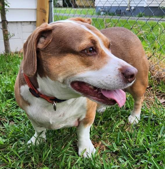 Ciara Jade Dove Lee 🏴‍☠️ tweet media