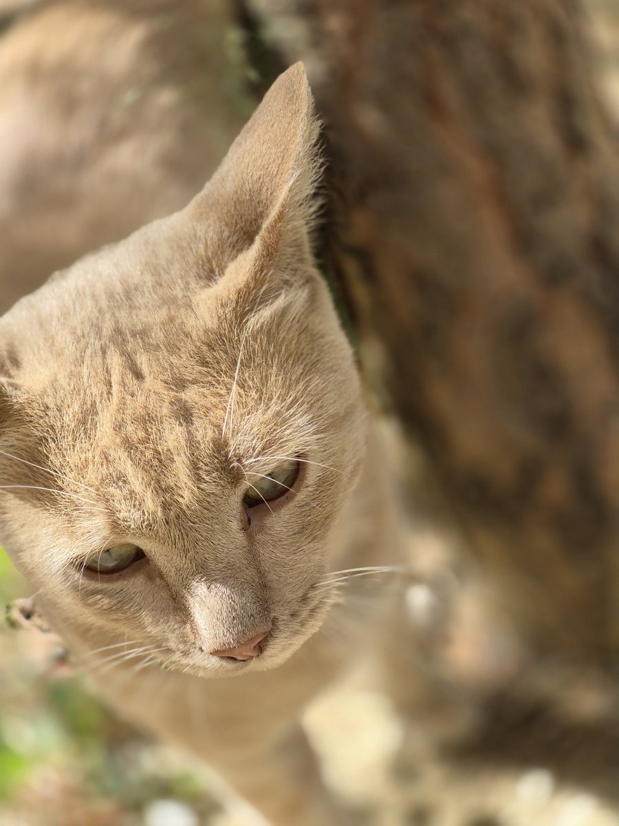 Dünya diyoruz adına; 
Yaşadığımız ve yorulduğumuz yere.