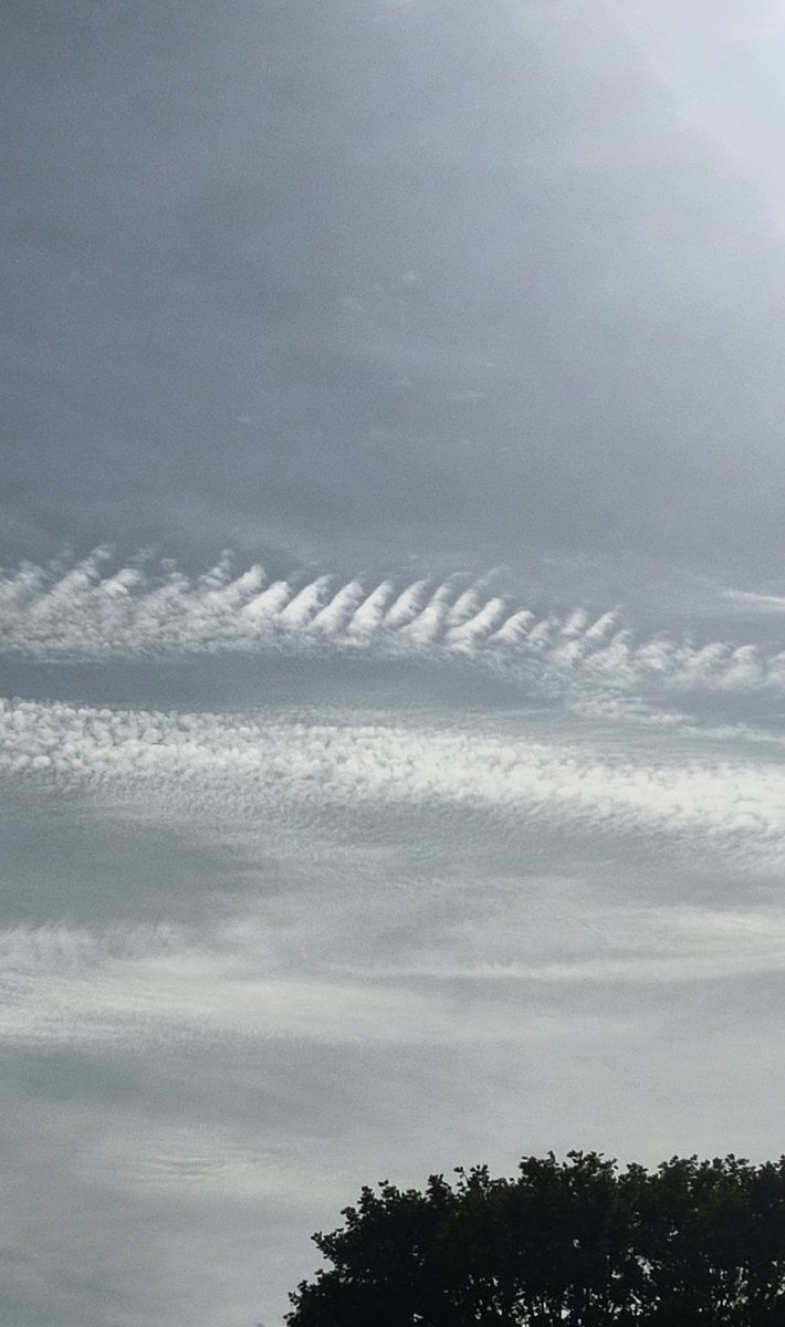 Gök Medresesi tweet media