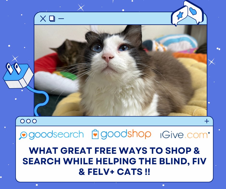 These are 3 FREE and easy ways to help the blind, FIV &amp; Leukemia positive cats! FREE!!! 😺🐾
When you shop use Good Shop: bit.ly/3XwmqJO
Make GoodSearch your search engine bit.ly/3XwmqJO
When you shop online, use bit.ly/3E5NyZv bit.ly/3S0qDEP