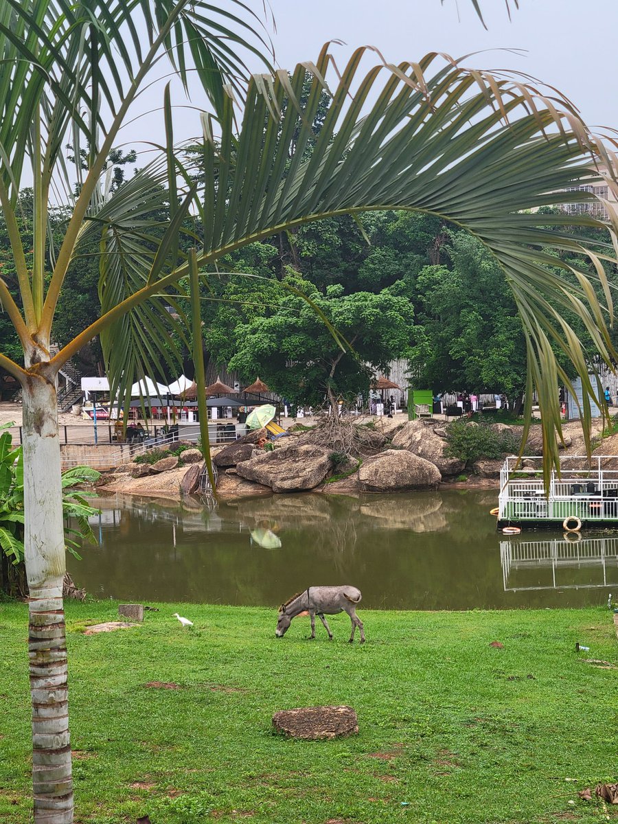 AstonisherX's tweet image. GN Snappers🍪

Took today off talking about @tenprotocol. I noticed I wasn't getting enough reach, so I needed to cool off🔟

I'll be back on @cookiedotfun projects tomorrow. Planning on adding something new to my list even. Ohh and TEN puzzles will continue tomorrow

#Snap2Earn