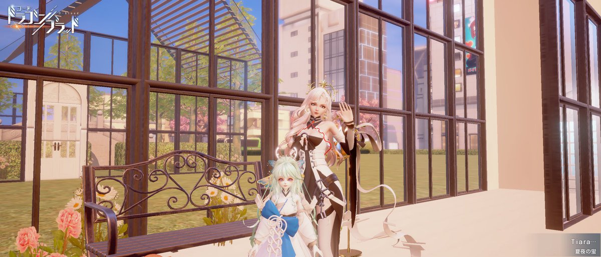 ヒ*イ様 ☘️ラスト2☘️蕾付き☘️3327⭐️小輪⭐️ダーク　クレオパトラ⭐️ Tiara (@Tiara8375947625) / Posts / X