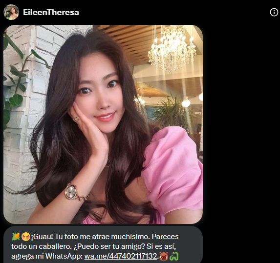 Que asco, ahora los bots de twitter hablan español (mi foto de mono chino le atrae p)