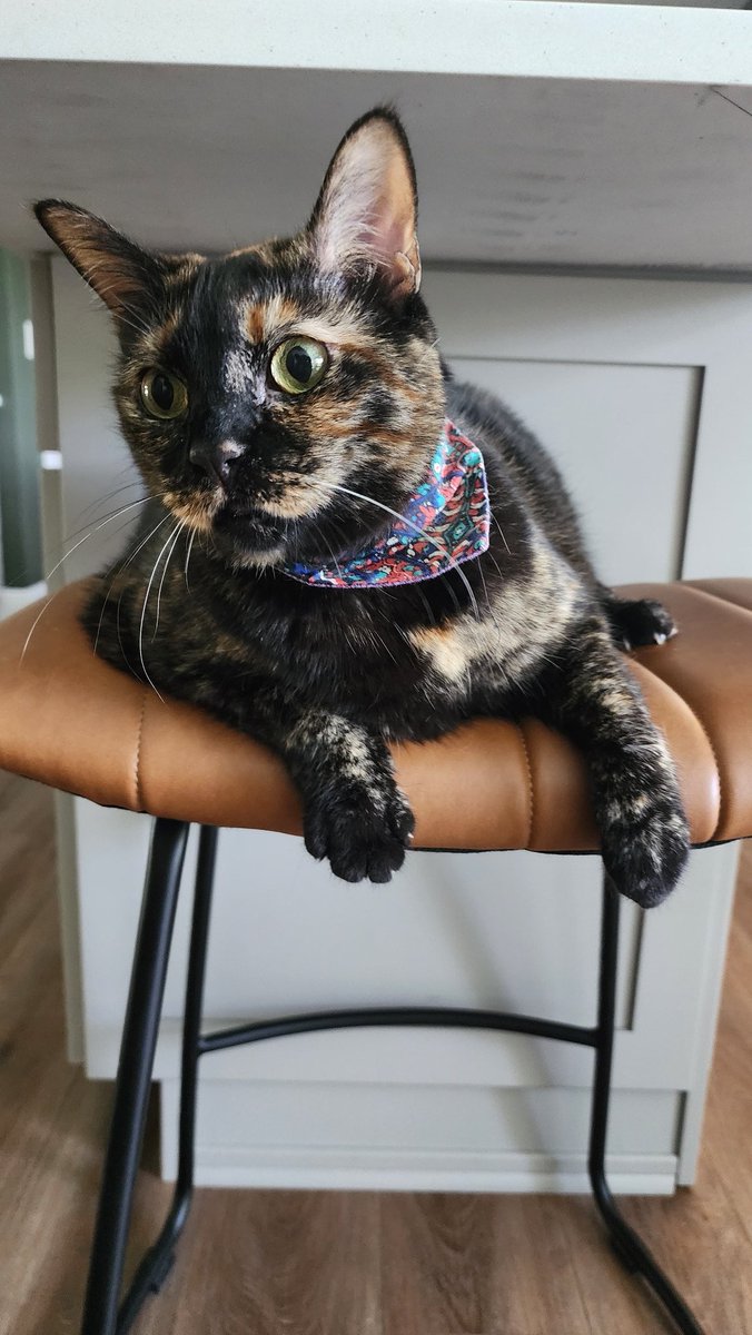 Did someone say "catnip?"