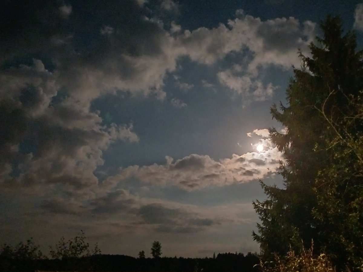 ArtoElina's tweet photo. Tänä(kään) yönä ei sitten nukuta.
#kuuhullu #lunatico https://t.co/Cwpw3t6fan