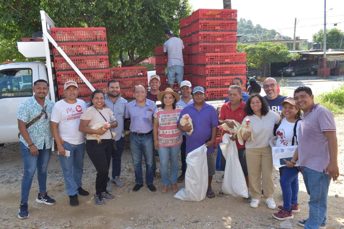 Beatriz_Mojica's tweet photo. En Guerrero la #esperanza también se alimenta. Con la entrega de gallinas ponedoras a familias #acapulqueñas apoyamos la economía familiar y local. 
✅️ También, promovemos la autosuficiencia. La transformación se construye desde lo más esencial: la comida en nuestra mesa.

Seguimos trabajando desde el #Territorio👊🏾

#BetyMojica
#SenadoraDeTerritorio 
#Resultados 
#Honestidad 
#TrabajoTerritorial
