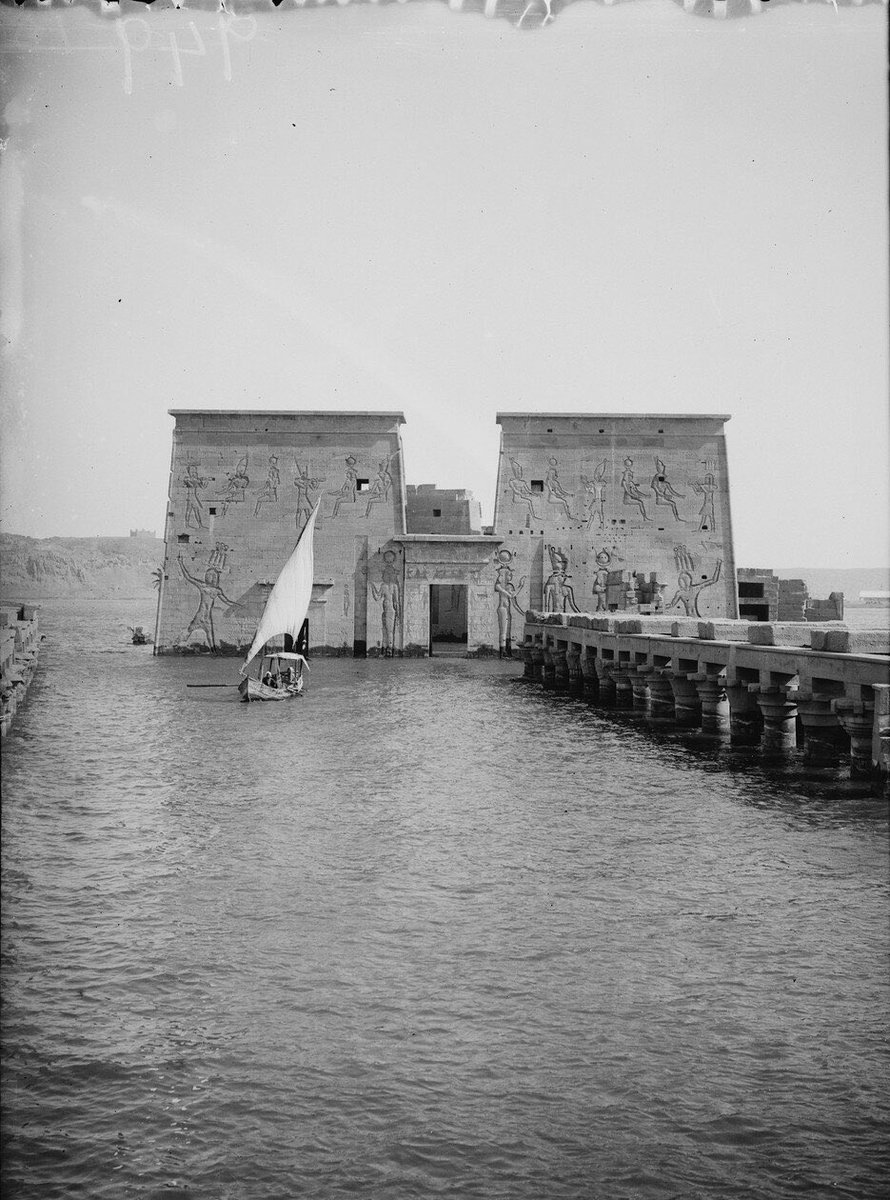 Waken Minds 𓂀 tweet media