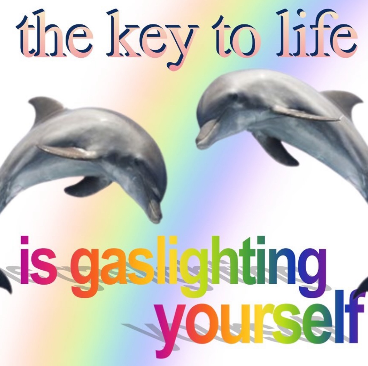 Respectful Memes (@respectfulmemes) on Twitter photo 