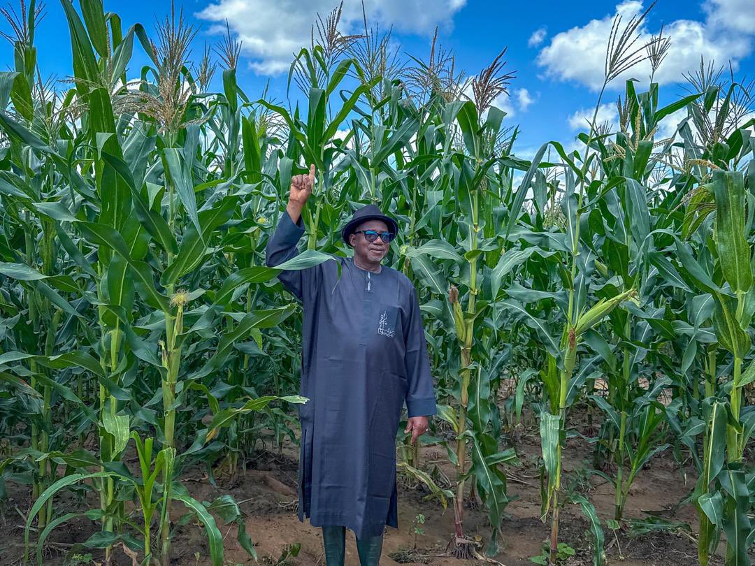 LawalMuazBauchi's tweet photo. Photos: Governor Bala Spends Weekend at Farm 

Bauchi State Governor, @SenBalaMohammed took time to oversee activities and connect with his passion for agriculture, as he spent the day at his farm in Bauchi. https://t.co/pRJWTJuqua