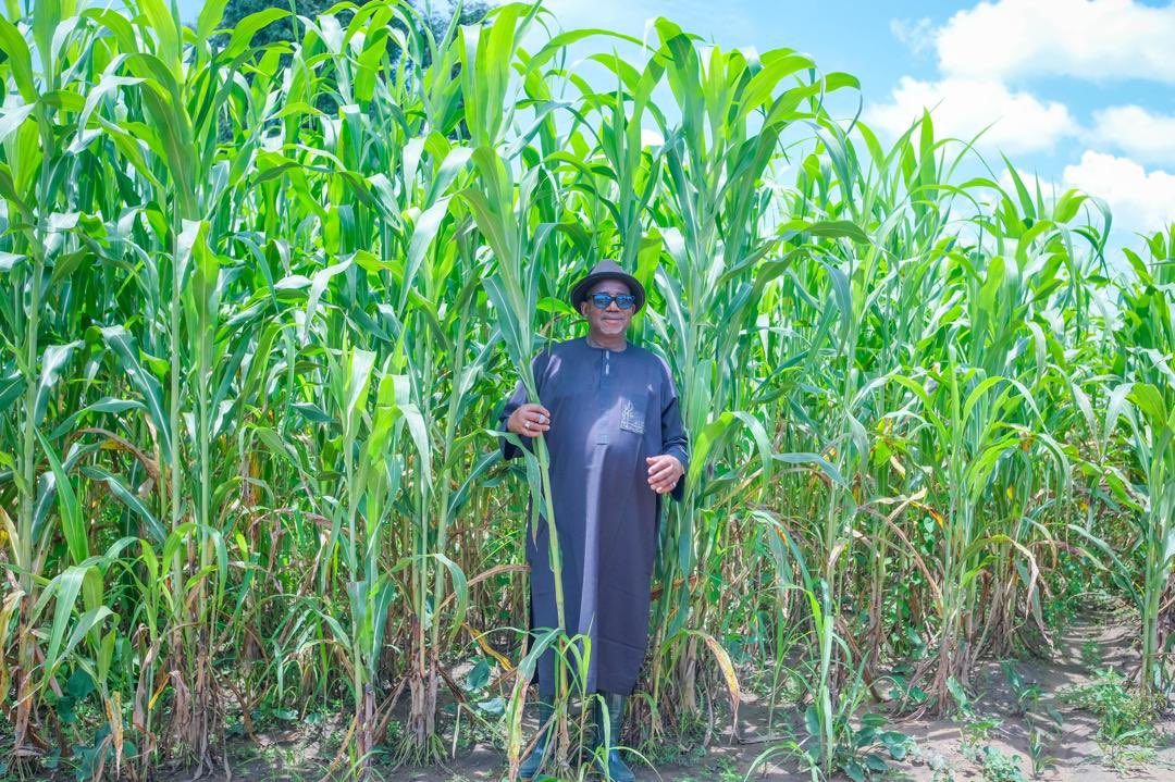LawalMuazBauchi's tweet photo. Photos: Governor Bala Spends Weekend at Farm 

Bauchi State Governor, @SenBalaMohammed took time to oversee activities and connect with his passion for agriculture, as he spent the day at his farm in Bauchi. https://t.co/pRJWTJuqua