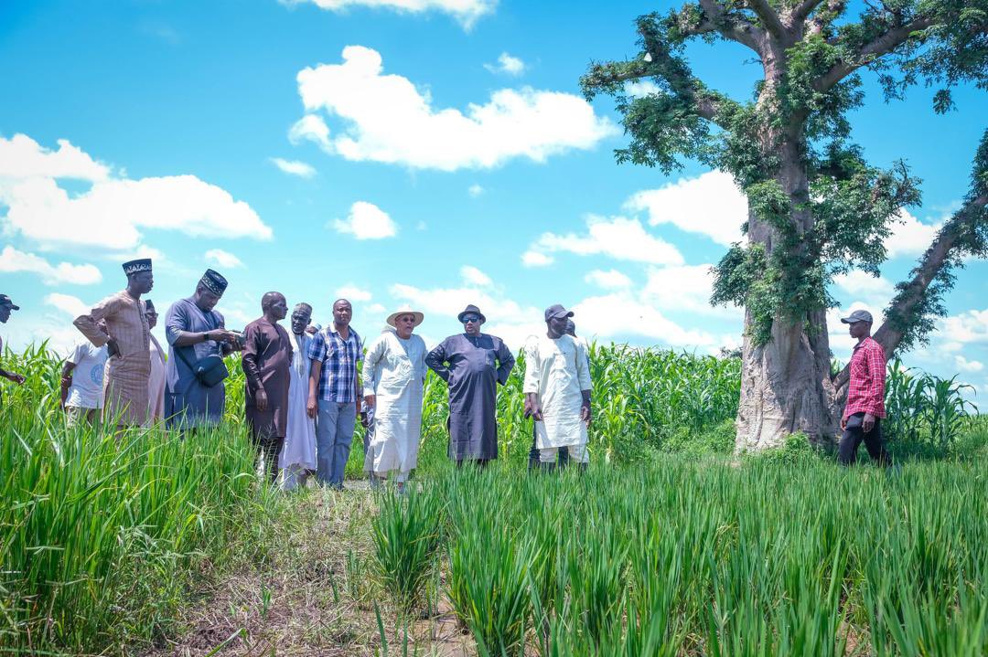 LawalMuazBauchi's tweet photo. Photos: Governor Bala Spends Weekend at Farm 

Bauchi State Governor, @SenBalaMohammed took time to oversee activities and connect with his passion for agriculture, as he spent the day at his farm in Bauchi. https://t.co/pRJWTJuqua