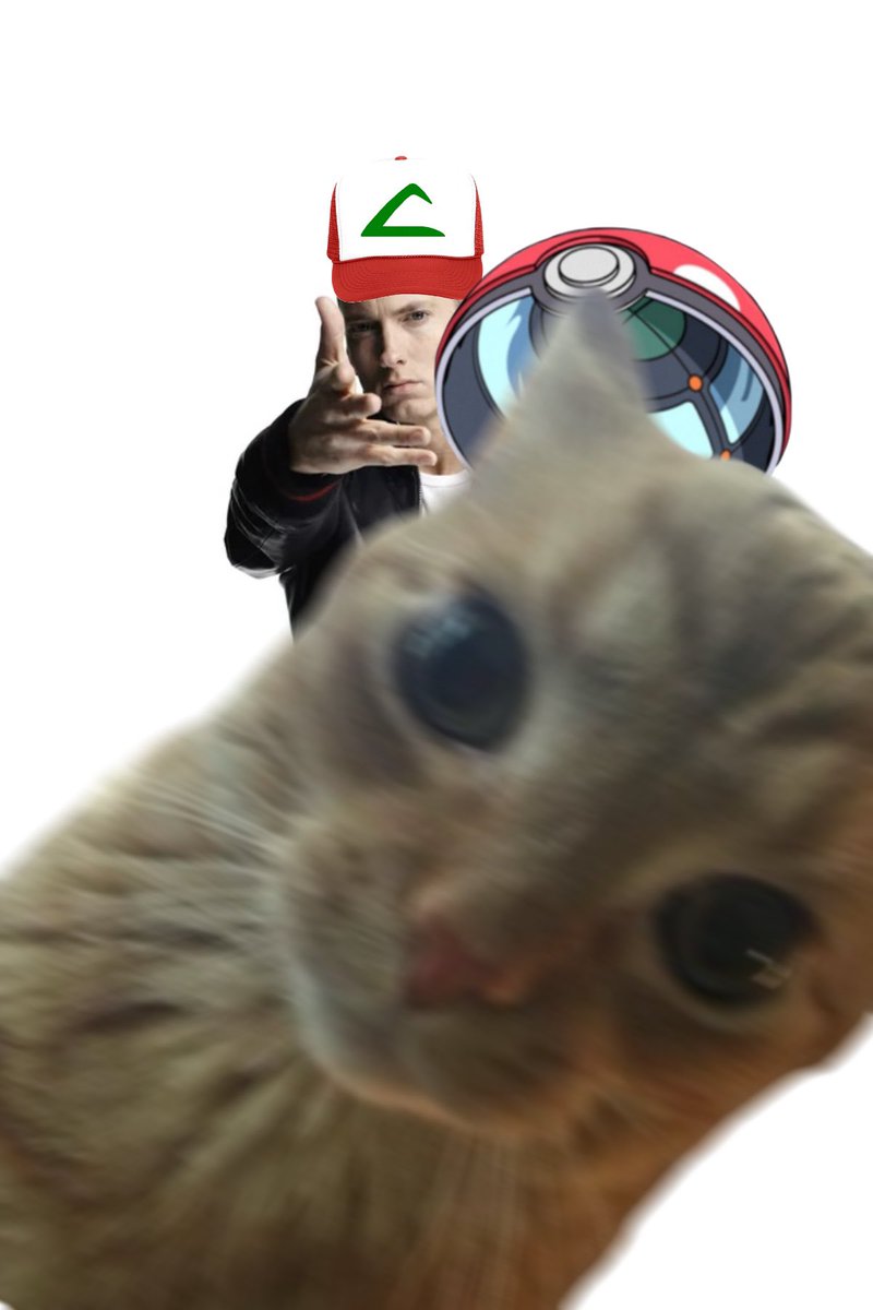 Tij tweet media