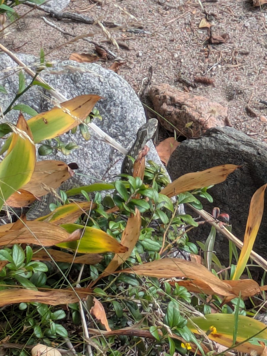 Matti Taipale tweet media