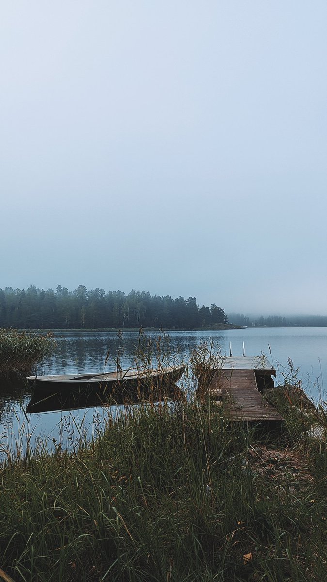 Matti Taipale tweet media