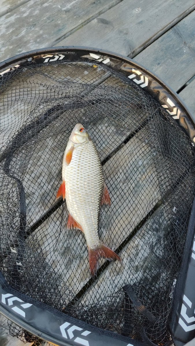 Matti Taipale tweet media