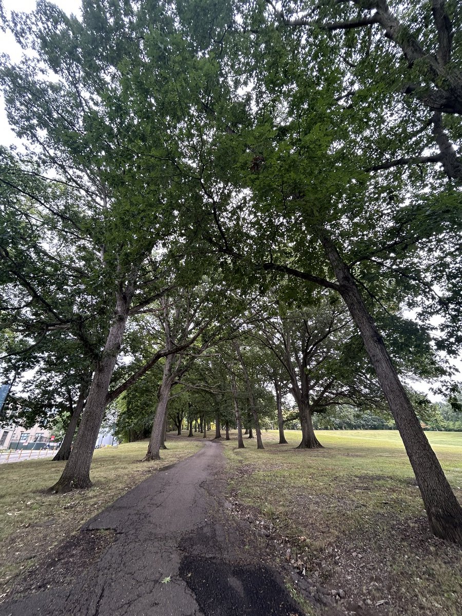 Huele a otoño 🍂 🍁 💚
#SaturdayMood