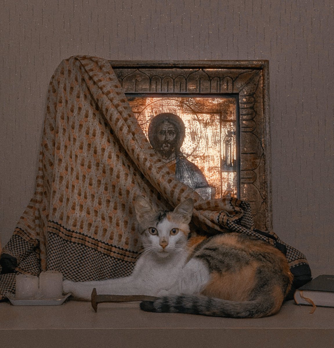 Голые женщины набирают на этом сайте тысячи лайков, посмотрим, сколько наберет обыкновенная кошка под присмотром Иисуса Христа.