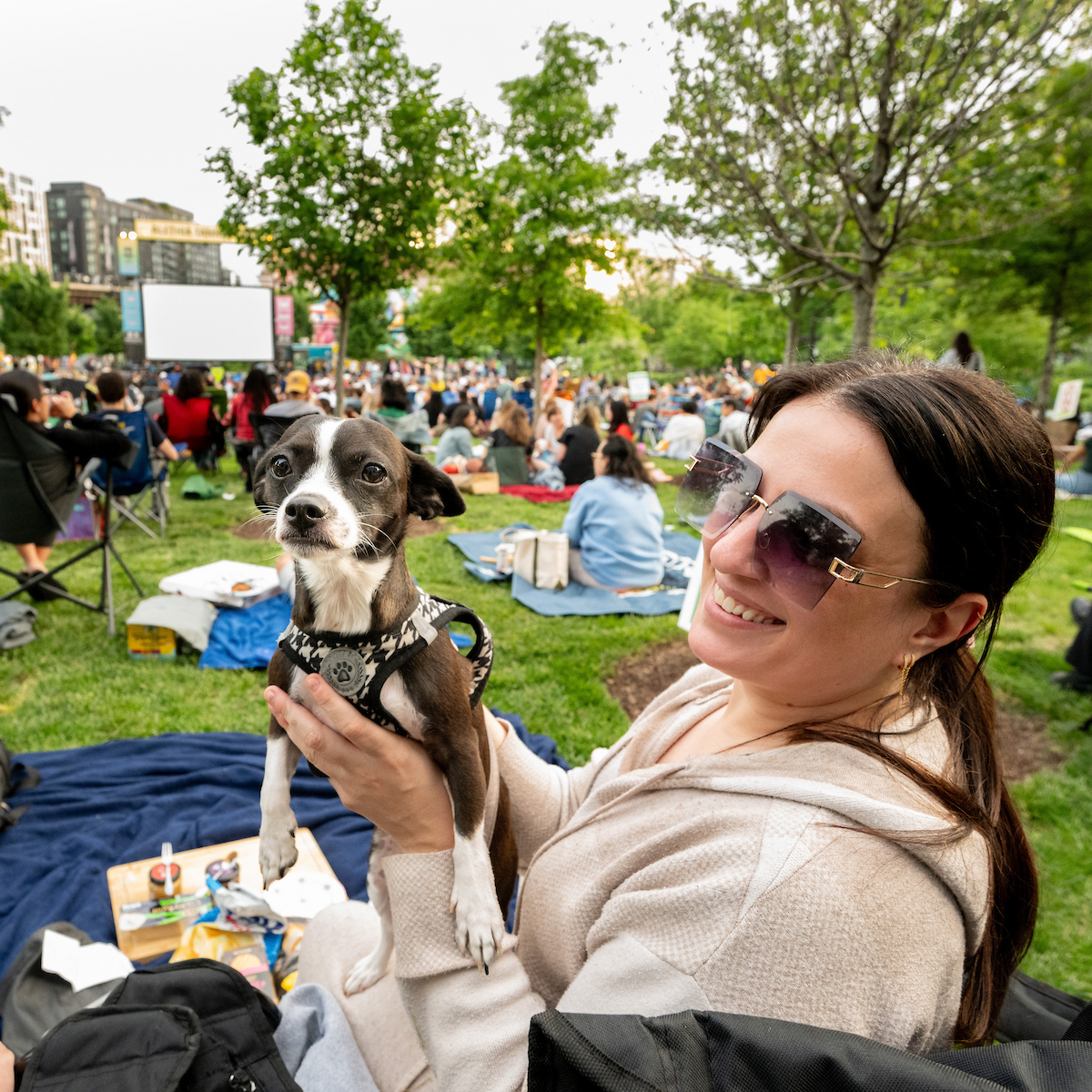 Visit Washington, DC tweet media