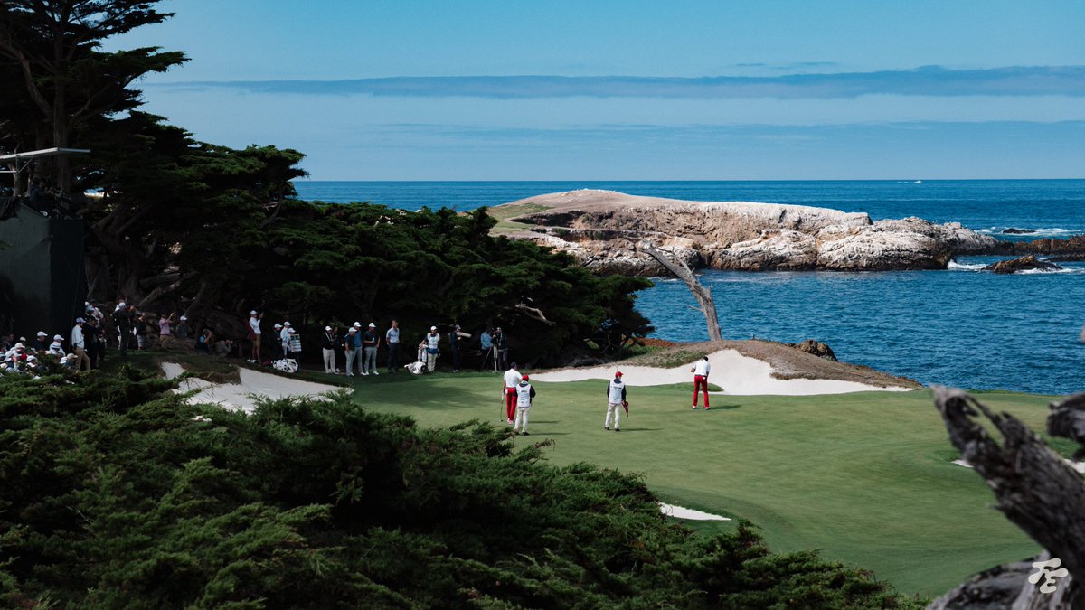 fried_egg_golf's tweet photo. Not sure you can beat this. https://t.co/8jQsG87xm1