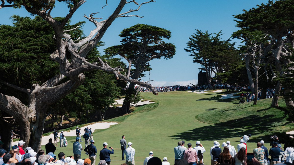 fried_egg_golf's tweet photo. Not sure you can beat this. https://t.co/8jQsG87xm1
