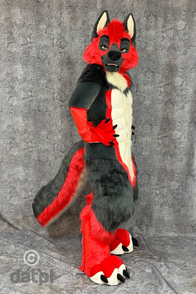 Dat, the German Shepherd tweet media