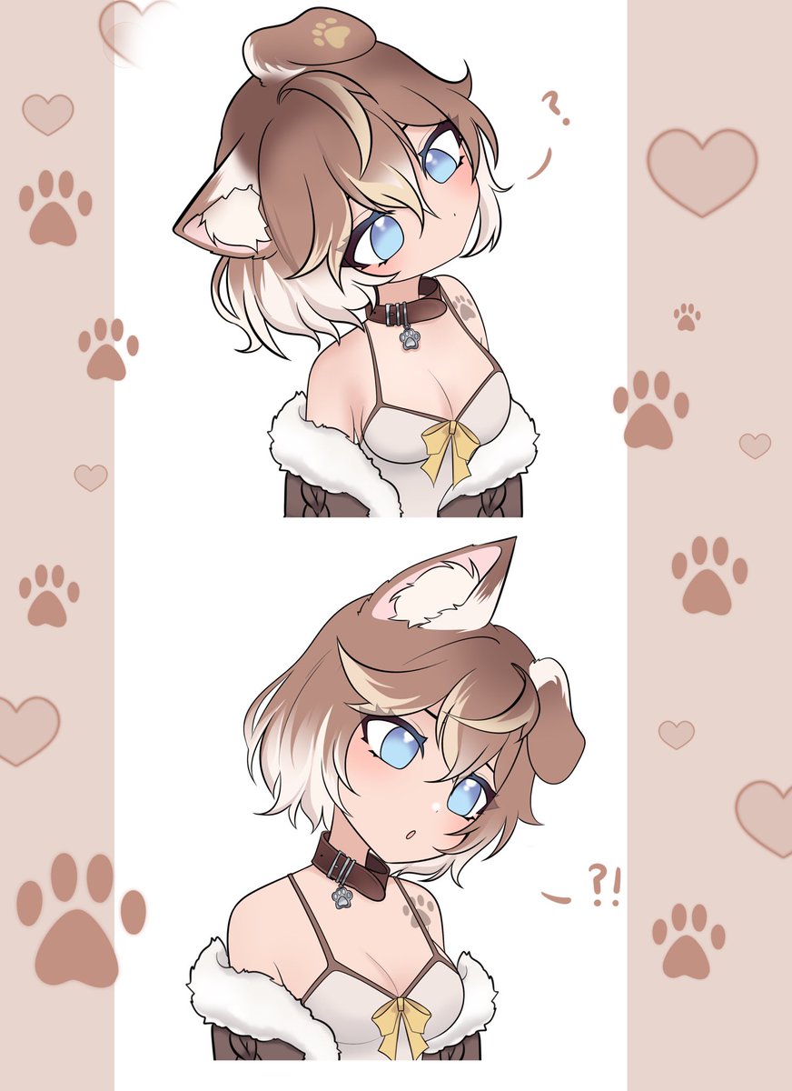 Smollxo's tweet image. Confused pup o-o