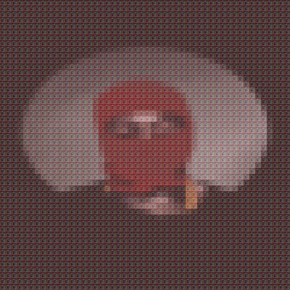 Benjamin tweet media