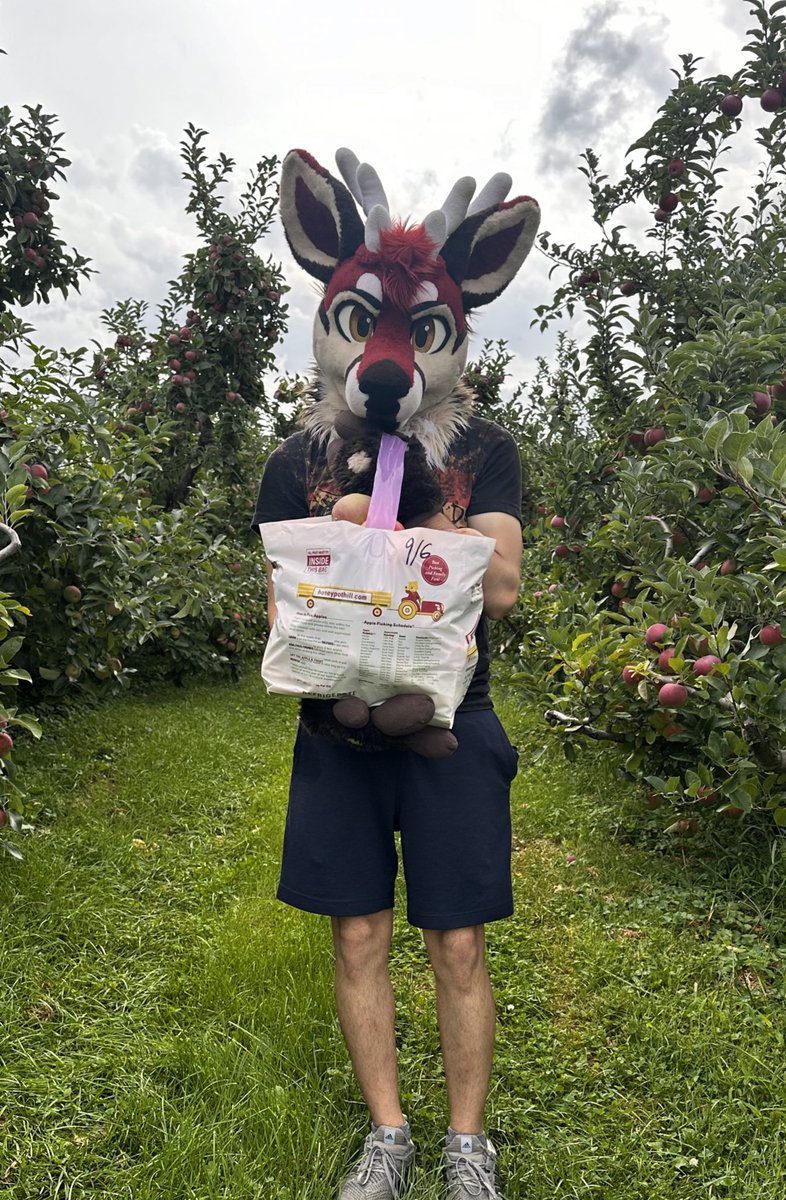 🦌 Sochi 🔜 FCL tweet media