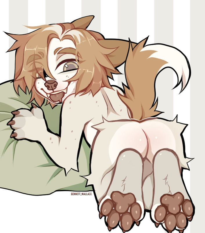 Benne77Wallace's tweet photo. my baby :p

#furryartwork  #furryartist #furry #art #dog https://t.co/NvKIscBeJu