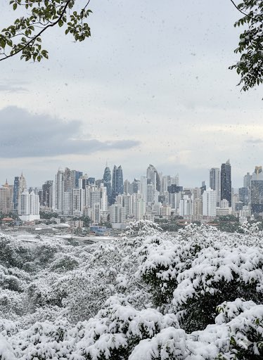 AdriangonzaIez's tweet image. Se imaginan Panamá con nieve? 🌨️❄️