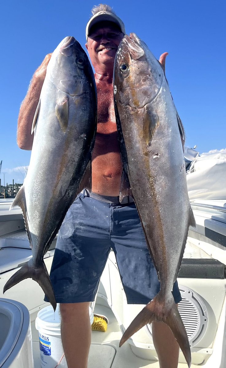 Gulf Assassin tweet media