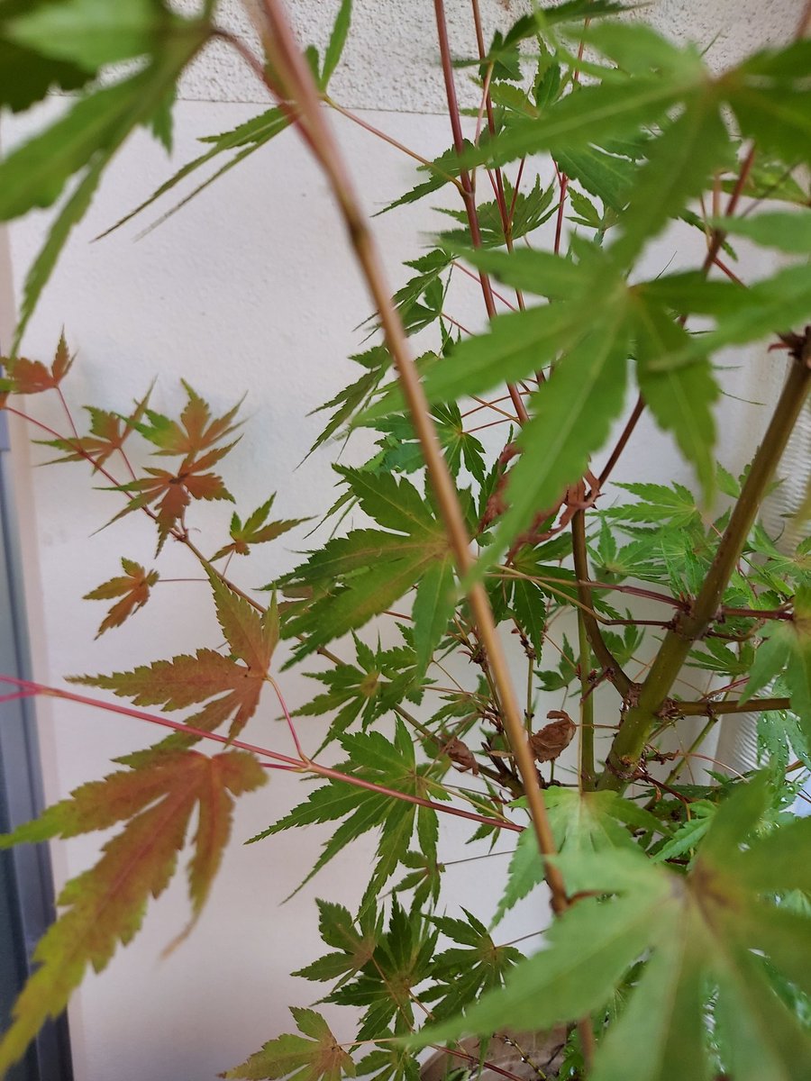 💐moco🎀 (@moco33378595) / Posts / X