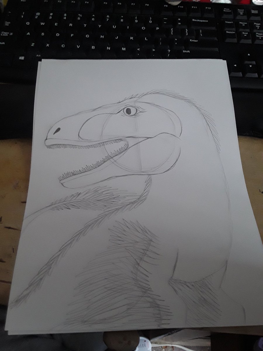 ReluctantVanny_'s tweet photo. Working on something for @_Archesuchus_, how's it look? https://t.co/UEcprtobP9