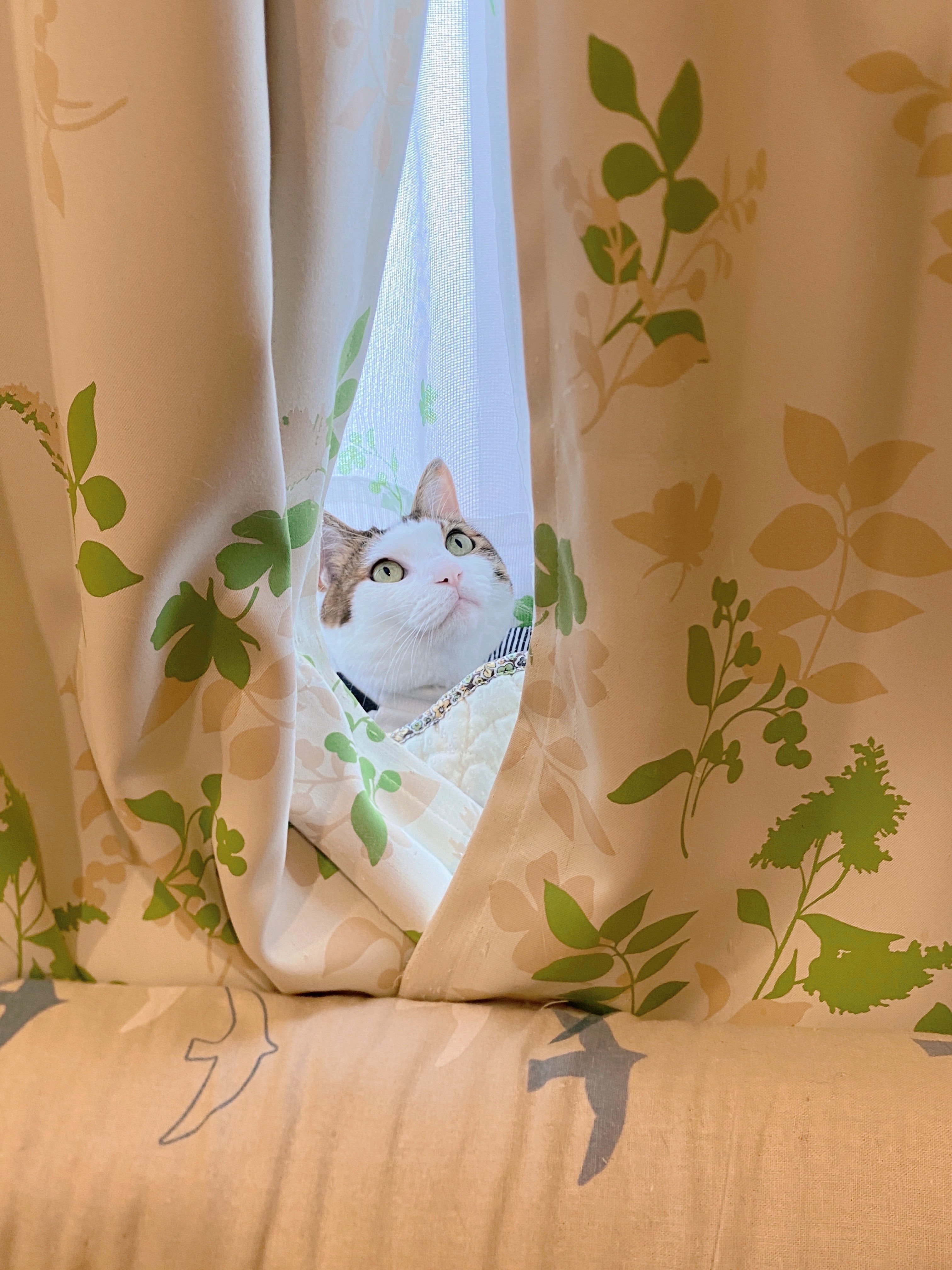 ♡よーにゃんさまご確認用♡ カーサイン・録画中 ペタッ