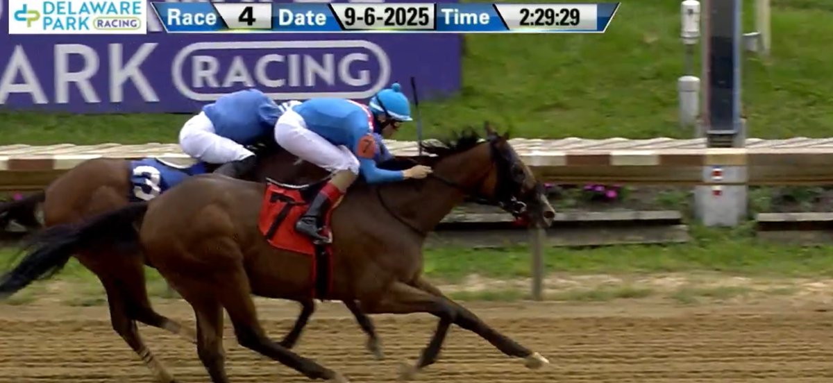 MJM_Stable's tweet image. Back to back wins for Crabcakes N Beer getting up just in time today @DelParkRacing under a perfectly timed ride from Gabriel Maldonado. Absolutely terrific training job by @carrasco_racing and his team with this hard trying gelding Congrats to all the partners!! @zambrana_eddie