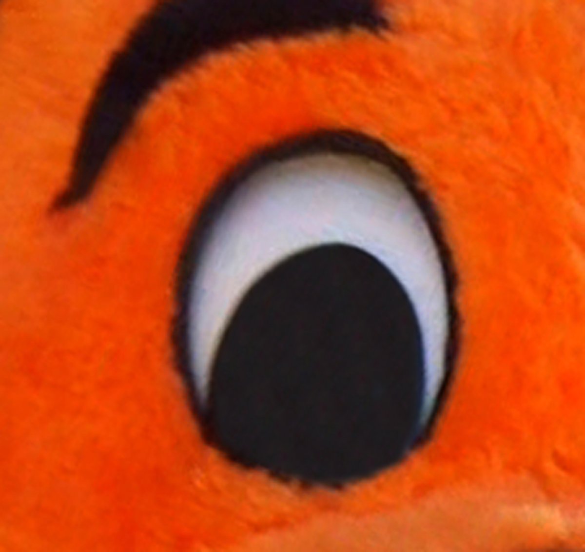 Cool Cat tweet media